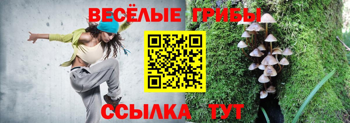 Псилоцибиновые грибы GOLDEN TEACHER Ирбит