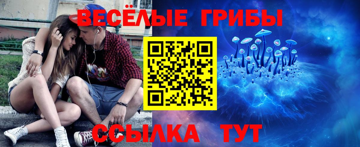 Ирбит  Псилоцибиновые грибы GOLDEN TEACHER  Вход с VPN 